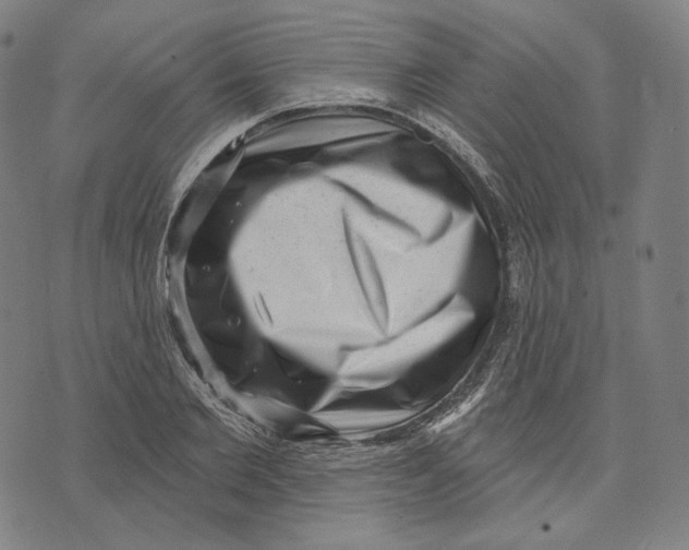 X0000071800885200607211644