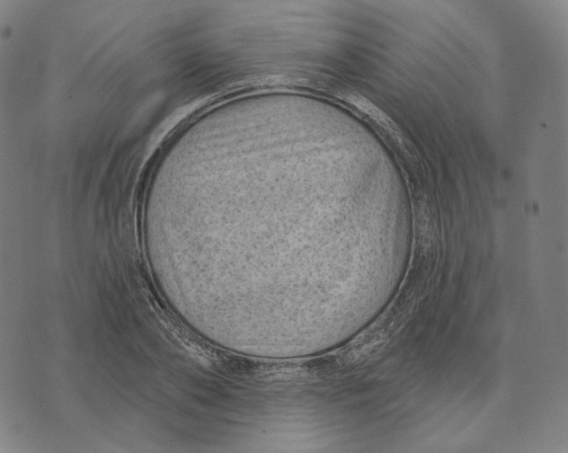 X0000071800886200607211644