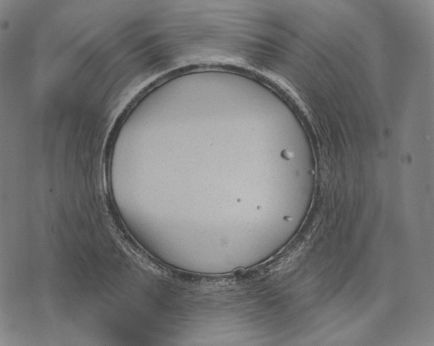 X0000071800887200607211644