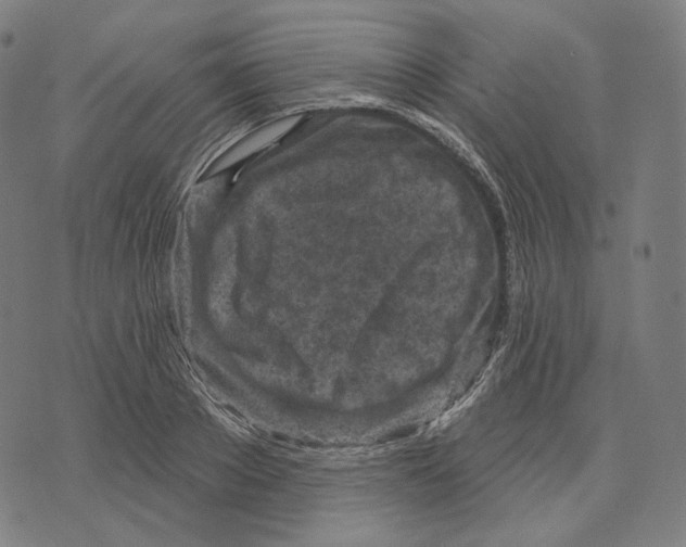 X0000071800889200607211644