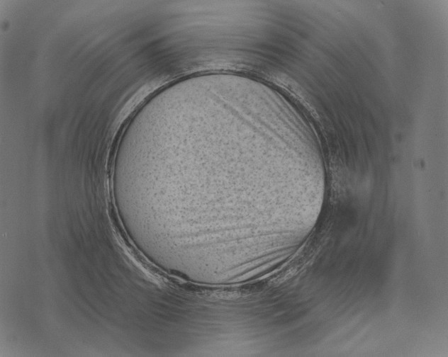 X0000071800890200607211644