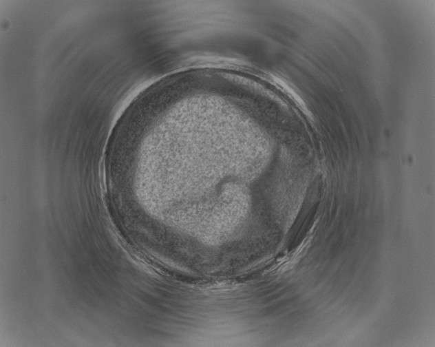 X0000071800891200607211644