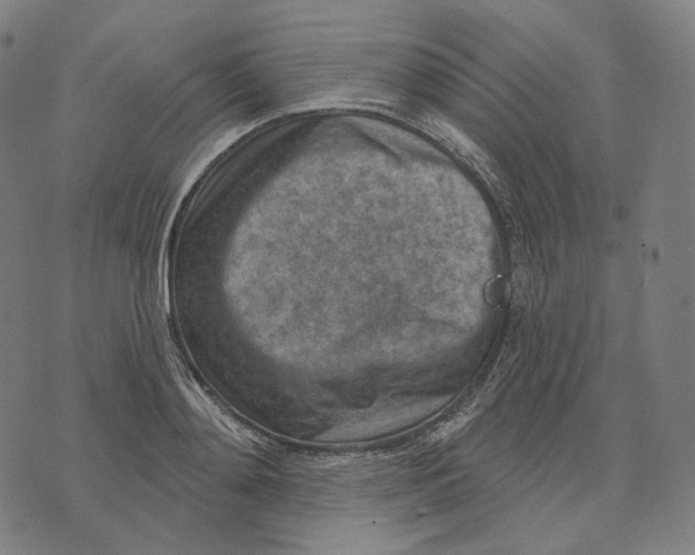 X0000071800892200607211644