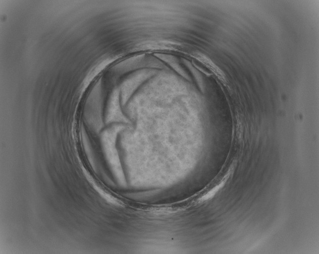 X0000071800893200607211644