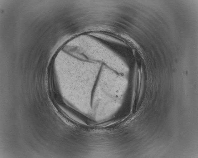 X0000071800894200607211644