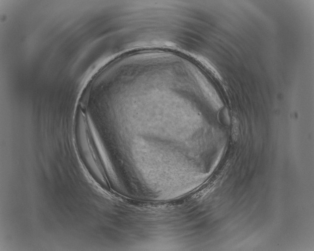 X0000071800895200607211644