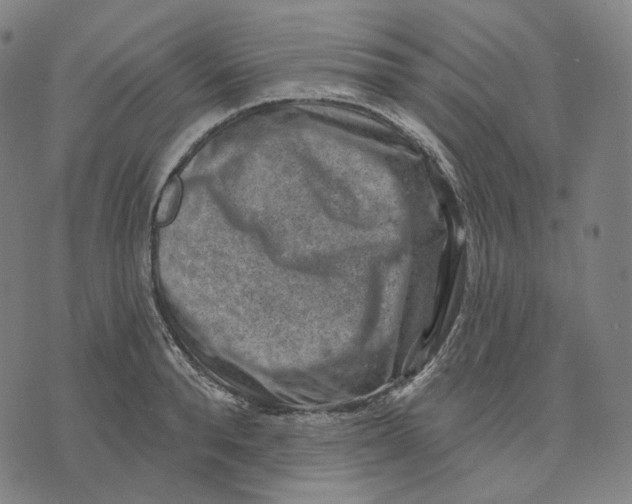 X0000071800896200607211644