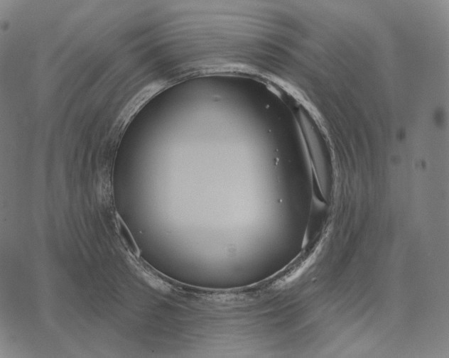 X0000071800897200607211644