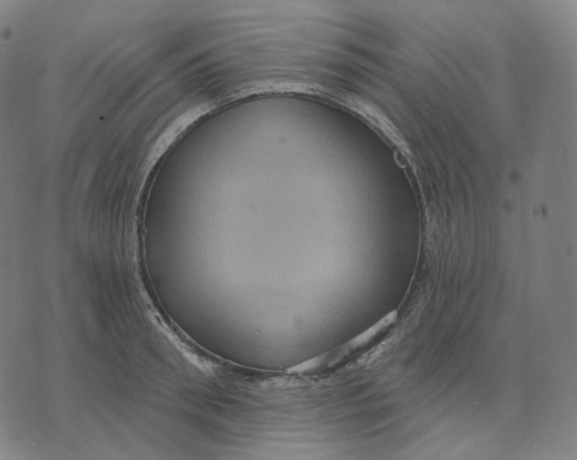 X0000071800898200607211644