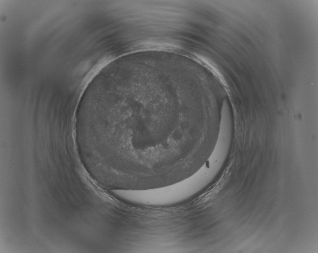 X0000071800899200607211644