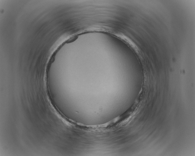 X0000071800902200607211644