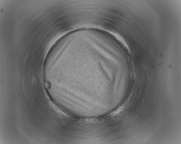 X0000071800903200607211644