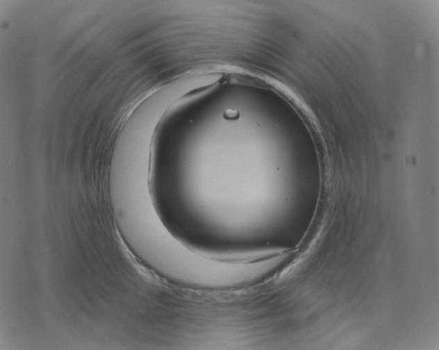 X0000071800905200607211644