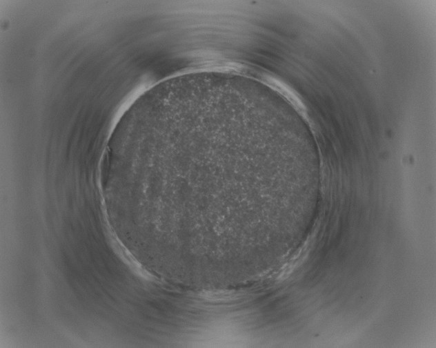 X0000071800907200607211644