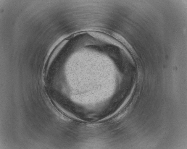 X0000071800908200607211644