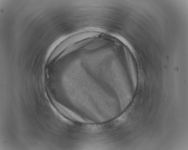 X0000071800910200607211644