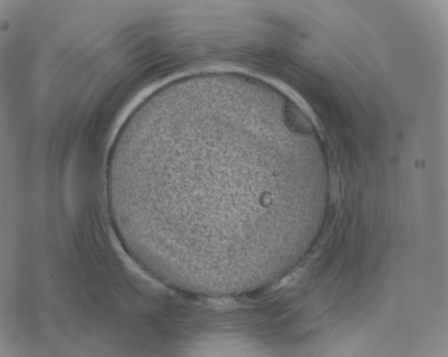 X0000071800911200607211644