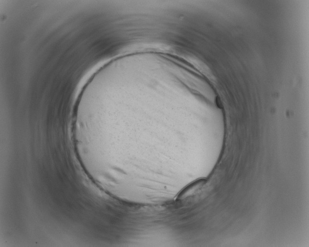 X0000071800912200607211644