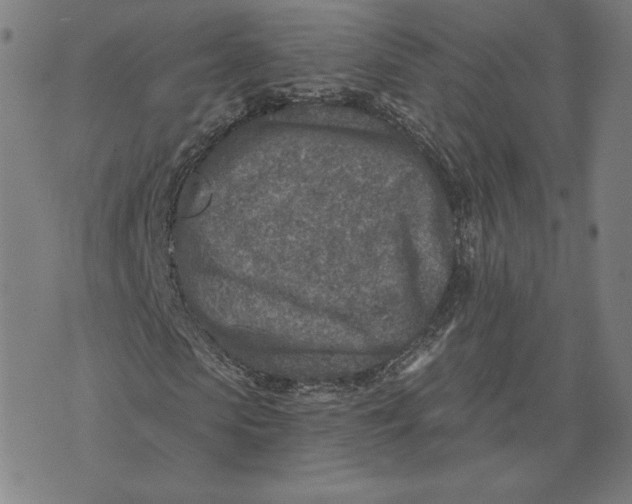 X0000071800913200607211643