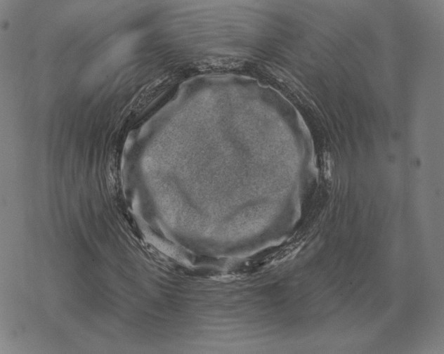 X0000071800915200607211643