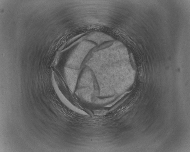 X0000071800916200607211643