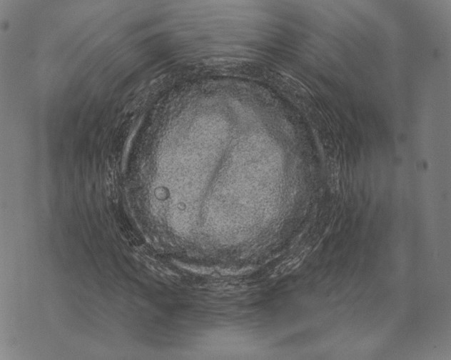 X0000071800917200607211643