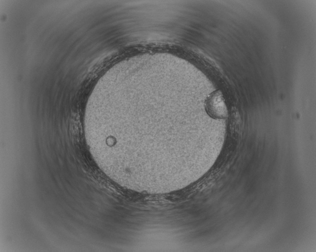 X0000071800918200607211643