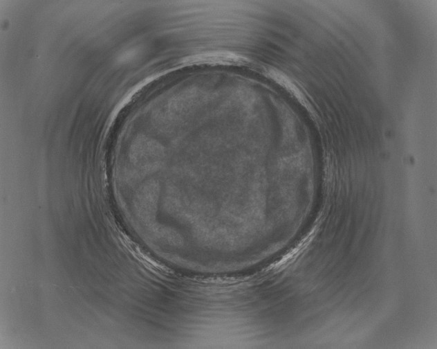 X0000071800923200607211643