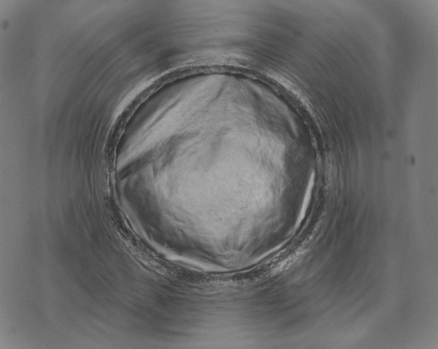 X0000071800925200607211643