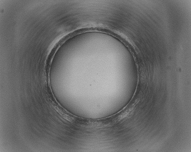 X0000071800927200607211643