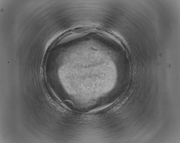 X0000071800928200607211643