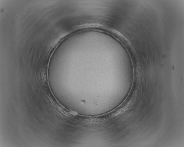 X0000071800929200607211643