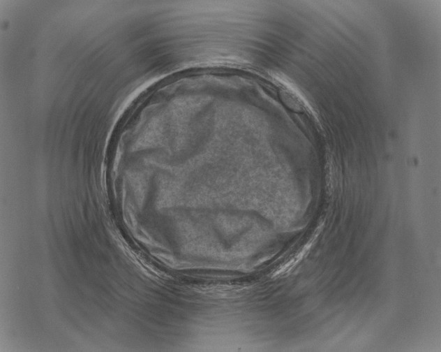 X0000071800932200607211643