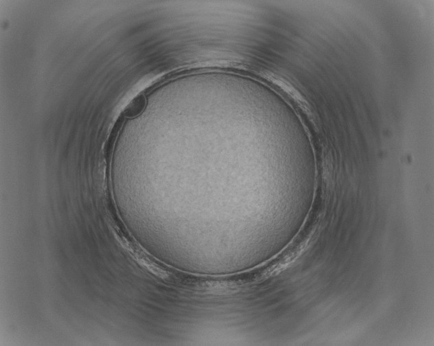 X0000071800933200607211643