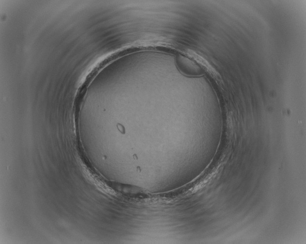 X0000071800934200607211643