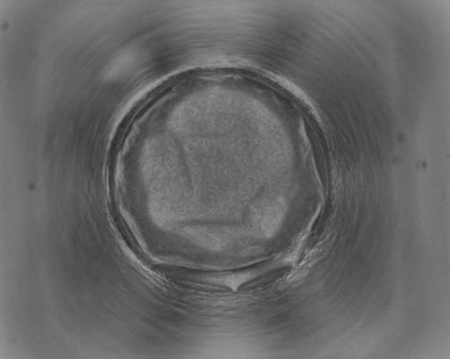 X0000071800935200607211643