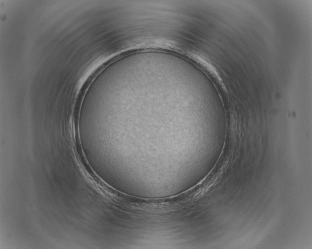 X0000071800936200607211643