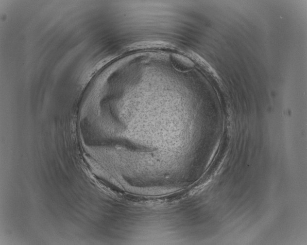 X0000071800937200607211643