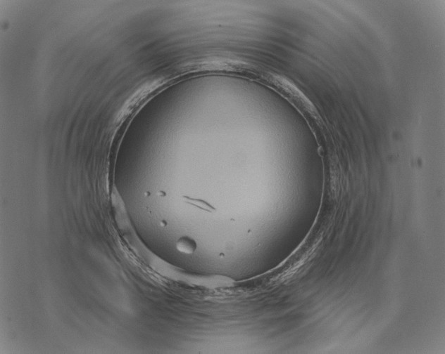 X0000071800938200607211643