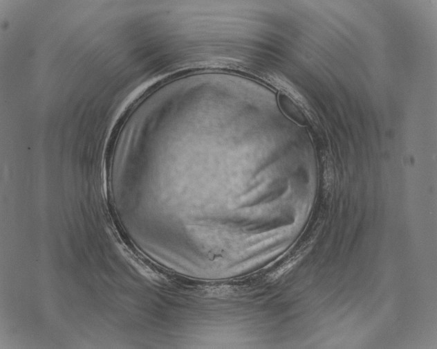 X0000071800940200607211643