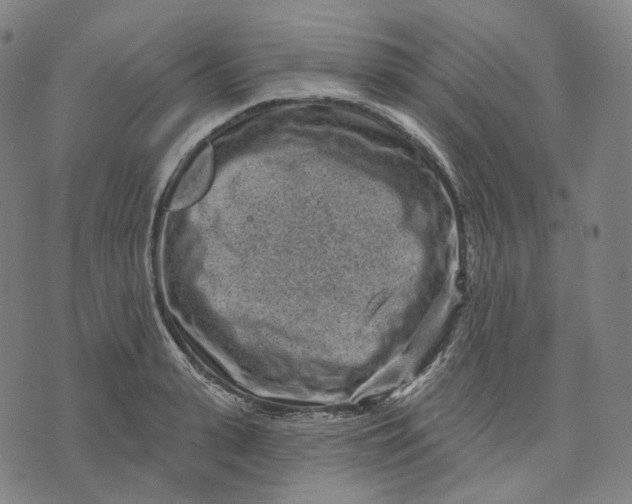 X0000071800943200607211643