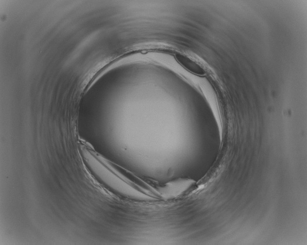 X0000071800945200607211643