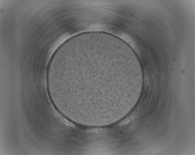 X0000071800950200607211643