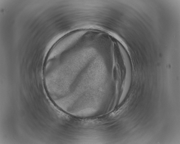 X0000071800951200607211643