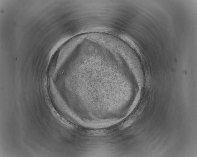 X0000071800952200607211643