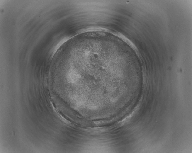 X0000071800953200607211643