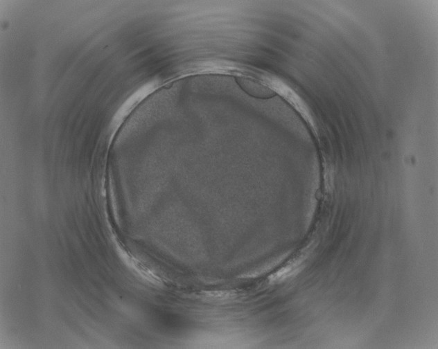 X0000071800954200607211643