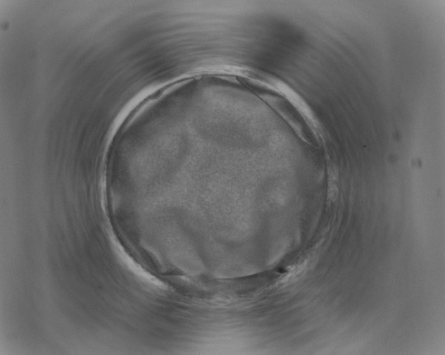 X0000071800955200607211644