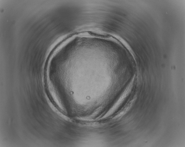 X0000071800957200607211644