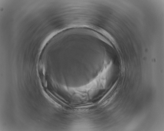 X0000071800958200607211644